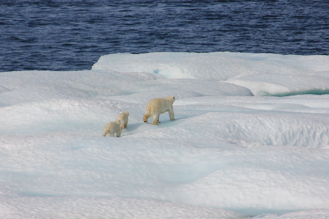 Polar Giants: The Mighty Big Boys of the North